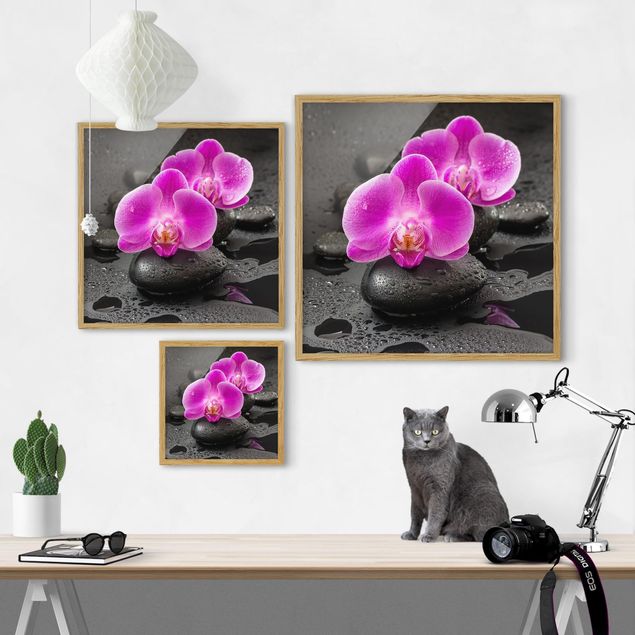 Obrazy z motywem kwiatowym Kwiaty różowej orchidei na kamieniach z kroplami