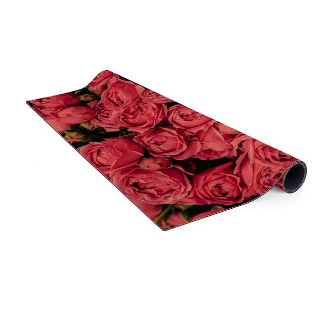 różowy dywan Różowe piwonie