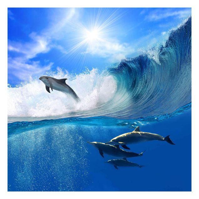 Fototapeta - Gra w delfiny