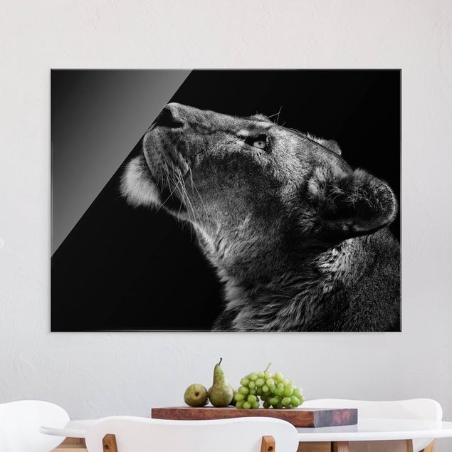 Obrazy na szkle poziomy Portret lwicy
