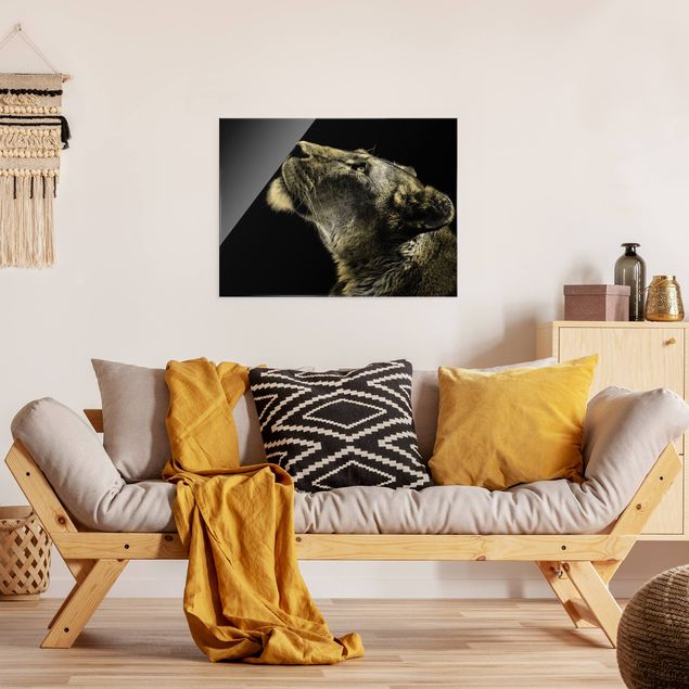 Nowoczesne obrazy do salonu Portret lwicy