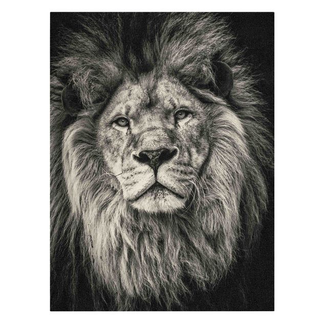 Obrazy lwa na płótnie Portret Lew czarno-biały