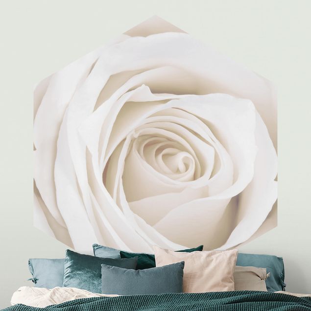 Róże tapeta Piękna biała róża