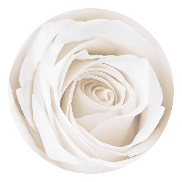 Tapeta w kwiaty Piękna biała róża