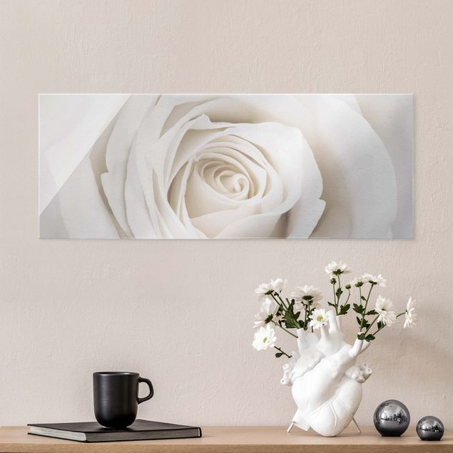 Dekoracja do kuchni Piękna biała róża