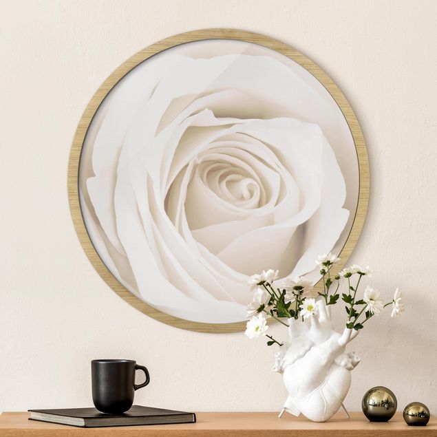 Obrazy do salonu nowoczesne Pretty White Rose