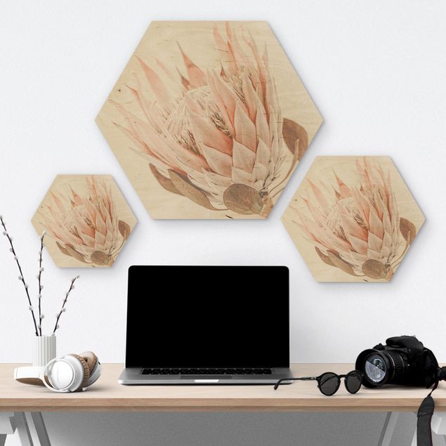 Obraz heksagonalny z drewna - Protea Królowa kwiatów