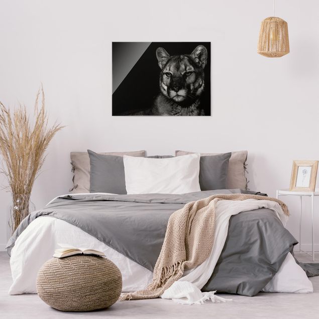 Obrazy na szkle zwierzęta Puma przed czernią