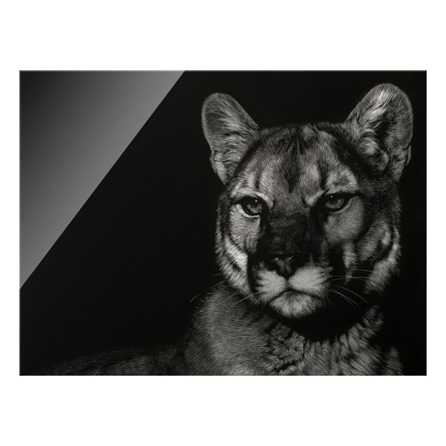 Obrazy nowoczesne Puma przed czernią