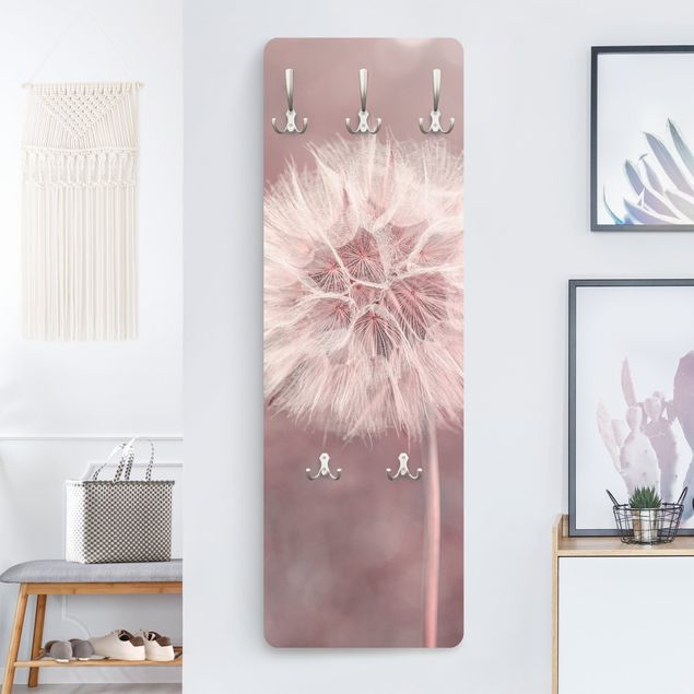 Andrea Haase obrazy  dandelion bokeh różowy