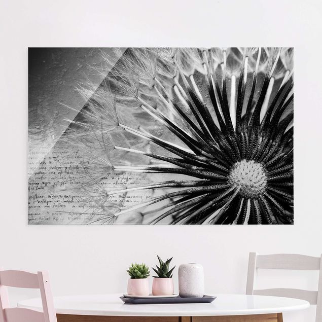 Obrazy na szkle dmuchawce Dandelion czarno-biały