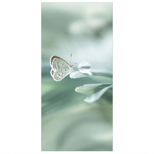 Parawan pokojowy - Motyl i krople rosy w pastelowej zieleni