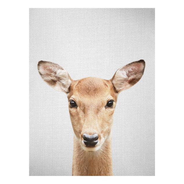 Obrazy na szkle zwierzęta Roe Deer Rita