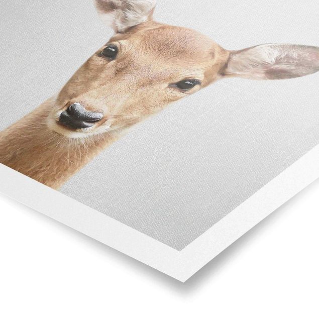 Obrazy zwierzęta Roe Deer Rita