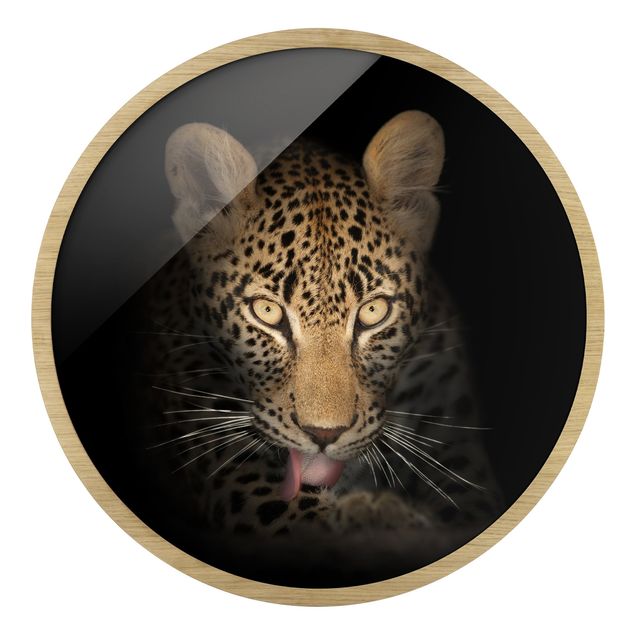 Nowoczesne obrazy Resting Leopard