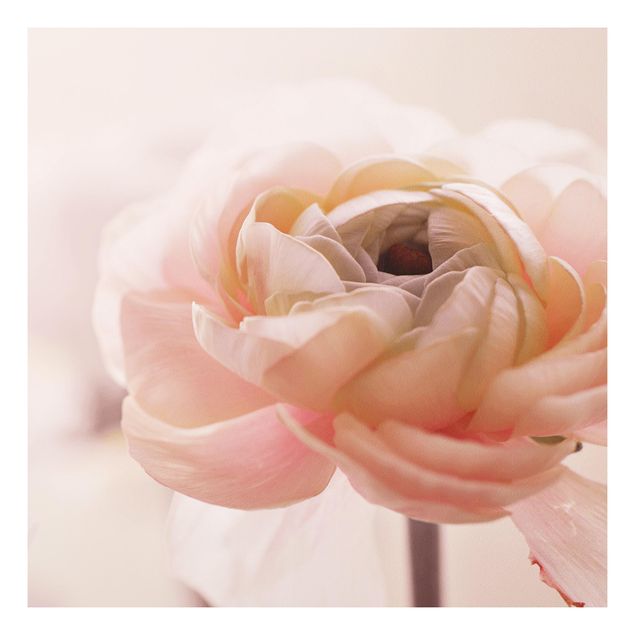 Obrazy do salonu nowoczesne Różowy kwiat w centrum uwagi