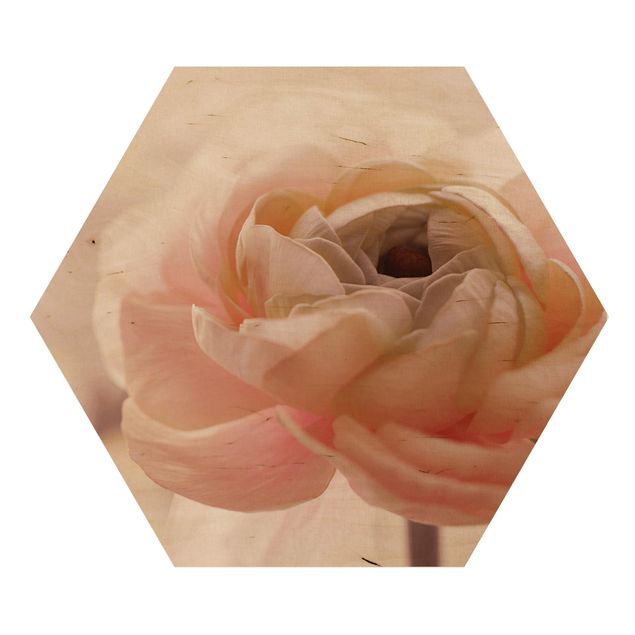 Obrazy z motywem kwiatowym Różowy kwiat w centrum uwagi