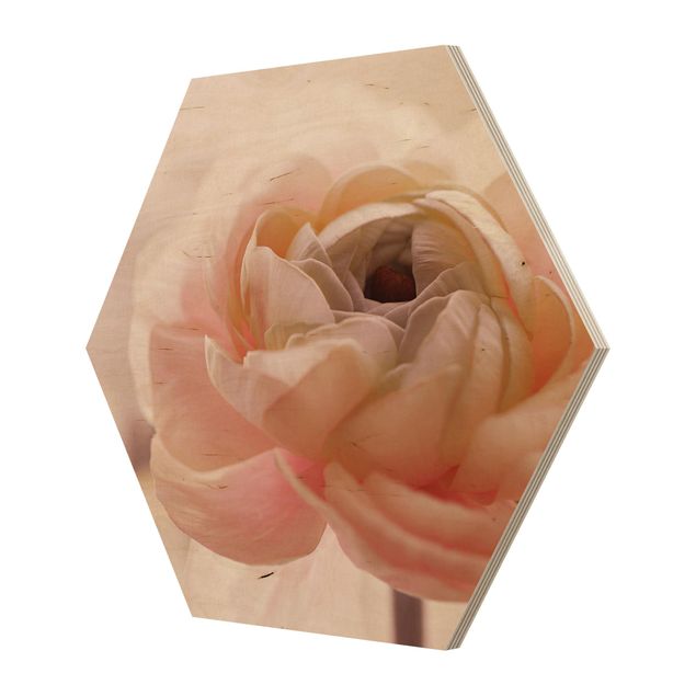 Obrazy na ścianę Różowy kwiat w centrum uwagi