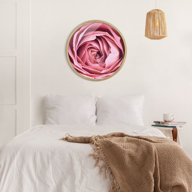 Obraz różowy Pink Rose Blossom