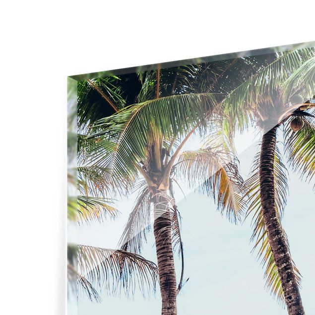 Obrazy krajobraz Pink Surfboards Under Palm Trees