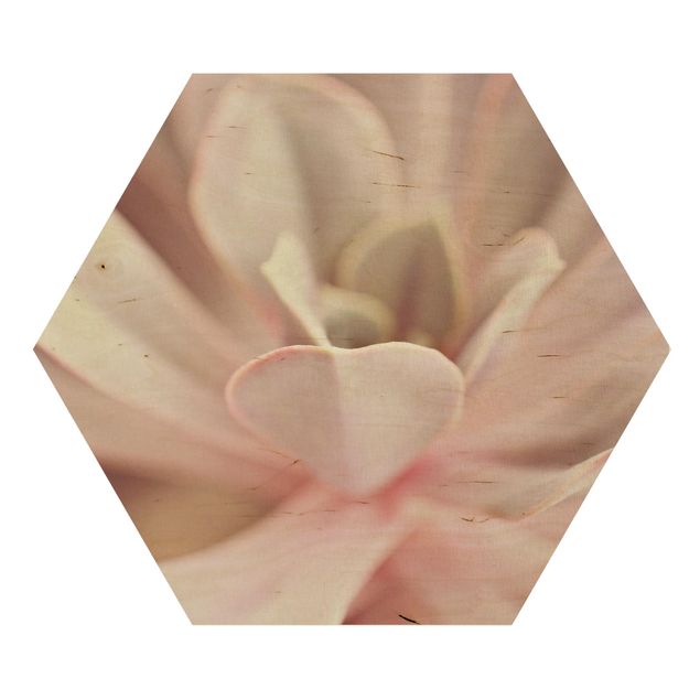 Obrazy motywy kwiatowe Rosane sukulent kwiatowy
