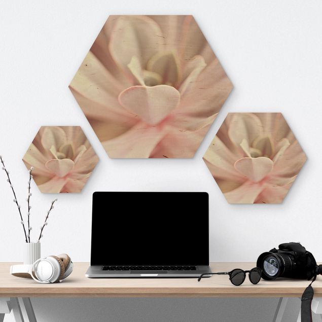 Obraz heksagonalny z drewna - Rosane sukulent kwiatowy