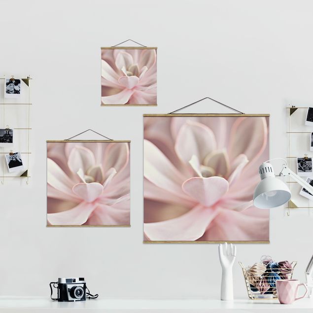 Obrazy na ścianę Rosane sukulent kwiatowy