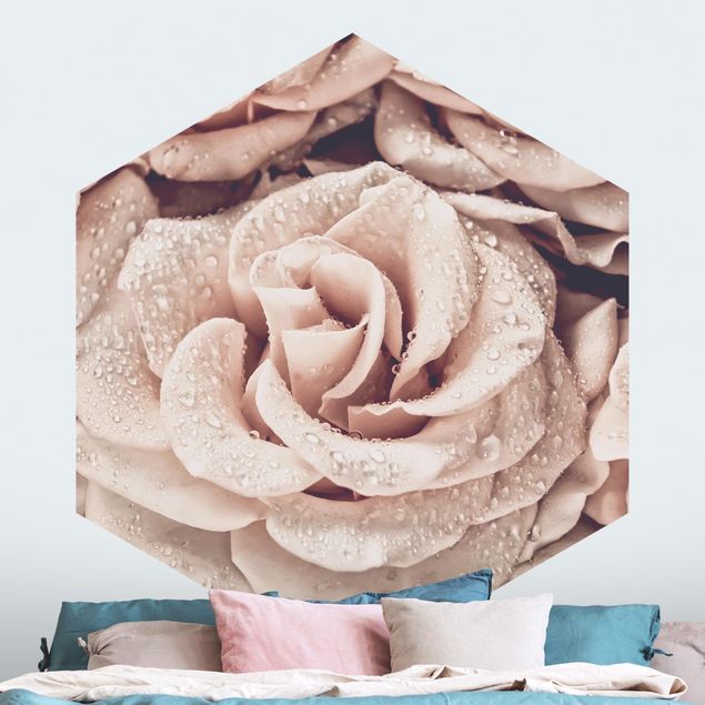 Róże tapeta Róże w sepii z kroplami wody