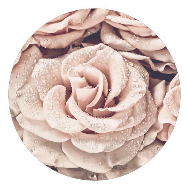 Tapety kwiaty Róże w sepii z kroplami wody