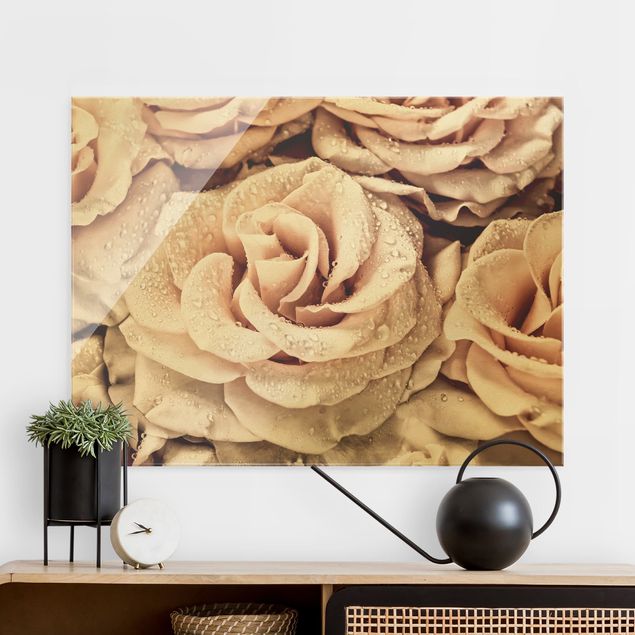 Obrazy na szkle róże Róże w sepii z kroplami wody
