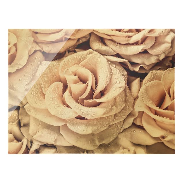 Obrazy nowoczesny Róże w sepii z kroplami wody