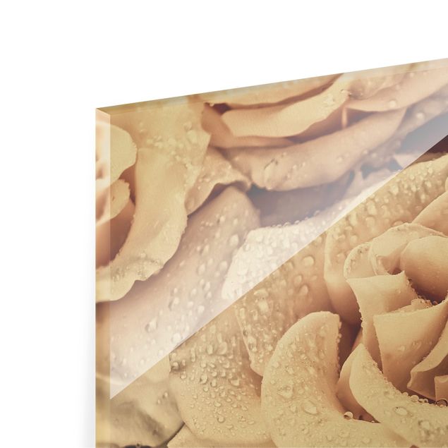 Obrazy motywy kwiatowe Róże w sepii z kroplami wody