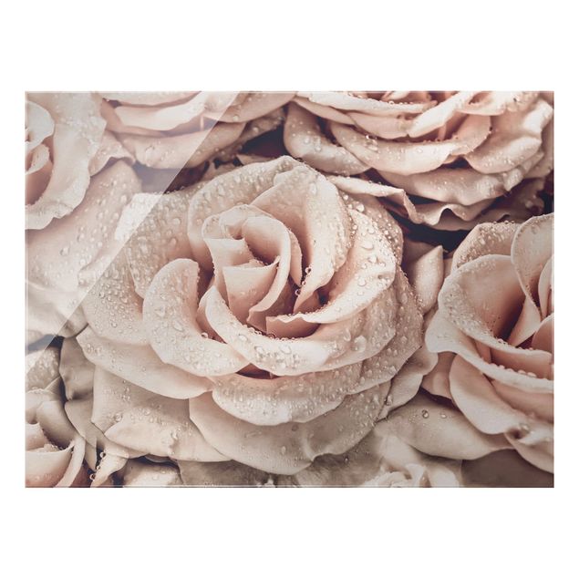 Obrazy nowoczesny Róże w sepii z kroplami wody