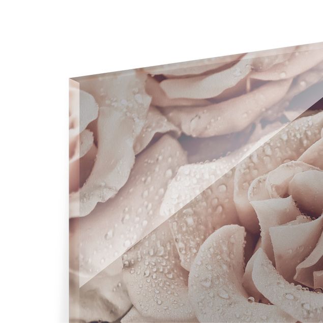 Obrazy motywy kwiatowe Róże w sepii z kroplami wody