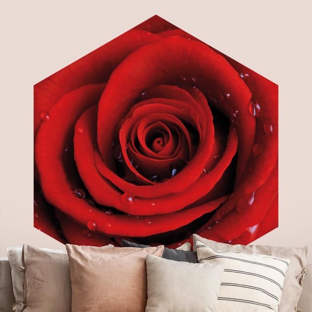 Fototapety róże Róża czerwona z kroplami wody
