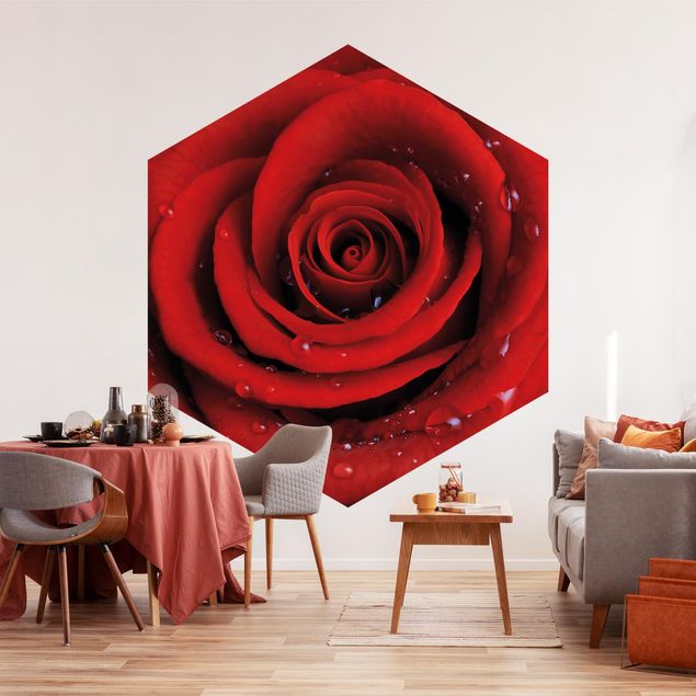 Fototapety kwiaty Róża czerwona z kroplami wody
