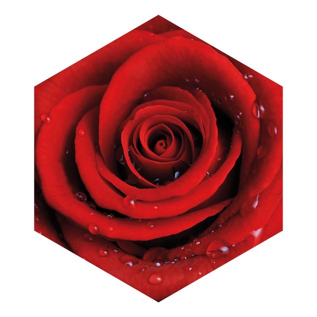 Fototapeta Róża czerwona z kroplami wody