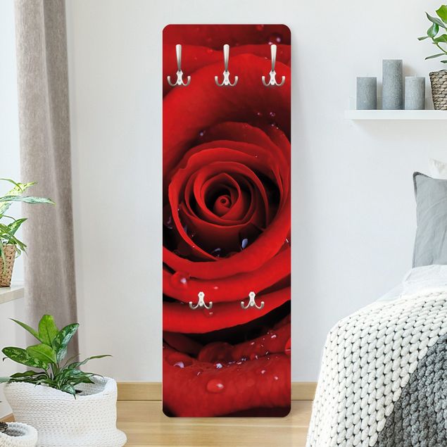 Garderoba Róża czerwona z kroplami wody