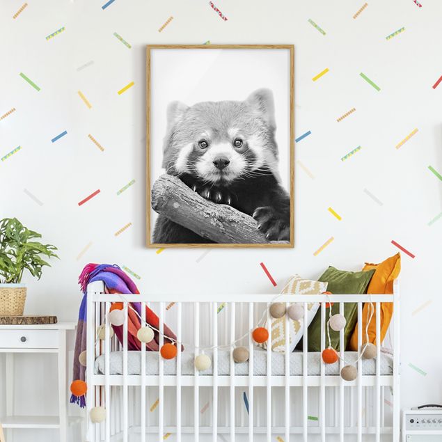 Obrazy w ramie dla dzieci Panda czerwona w czerni i bieli