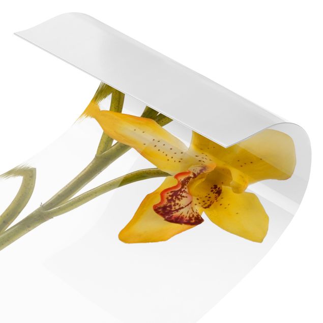 Panel ścienny do kuchni - Saffron Orchid Waters