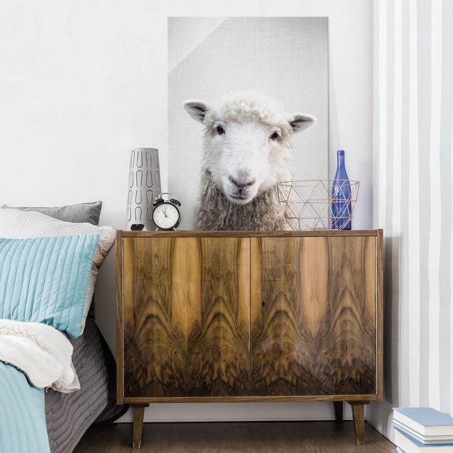 Obrazy na szkle portret Sheep Steffi