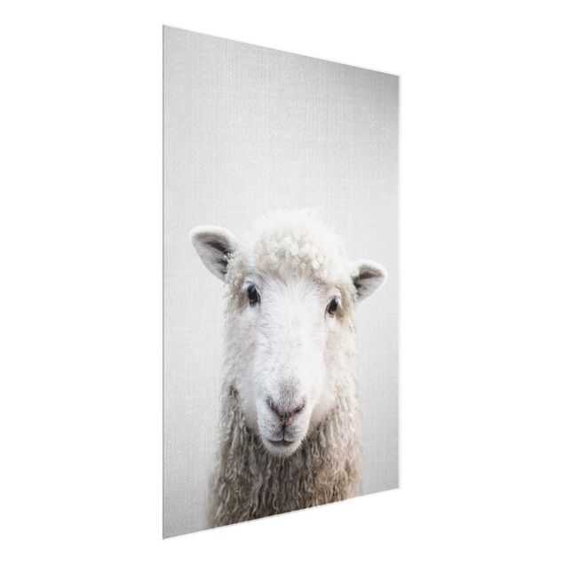 Obrazy do salonu nowoczesne Sheep Steffi