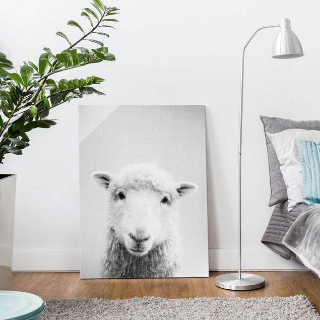 Obrazy na szkle zwierzęta Sheep Steffi Black And White