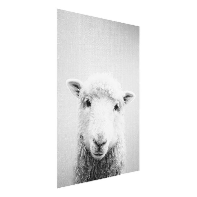 Obrazy do salonu nowoczesne Sheep Steffi Black And White