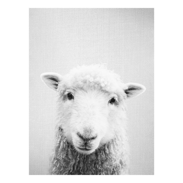 Nowoczesne obrazy Sheep Steffi Black And White