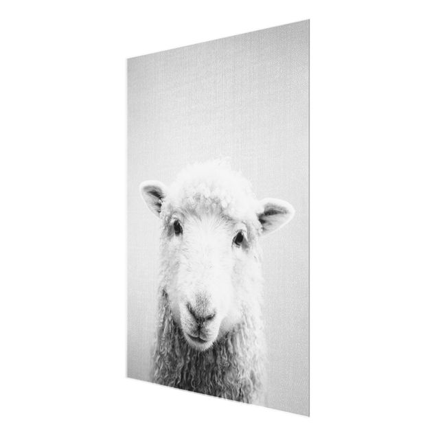Zwierzęta obrazy Sheep Steffi Black And White