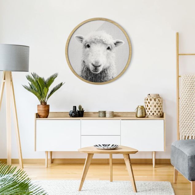 Obrazy w ramie zwierzęta Owce Steffi czarno-biały