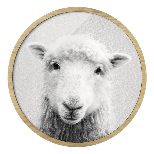 Obrazy do salonu nowoczesne Owce Steffi czarno-biały