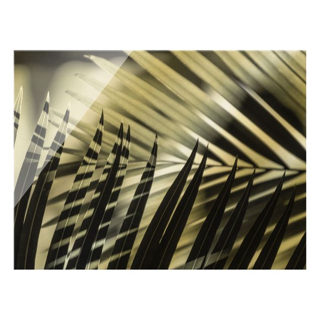 Nowoczesne obrazy Gra cieni na liściu palmy