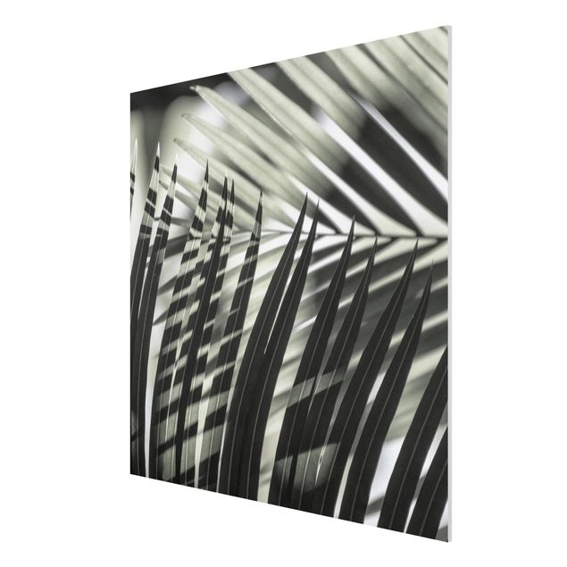 Obrazy nowoczesne Gra cieni na liściu palmy